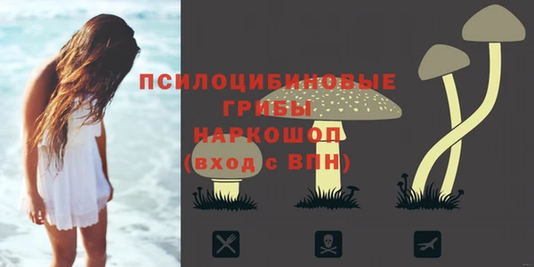 МДПВ Мегион