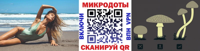 Галлюциногенные грибы GOLDEN TEACHER  это как зайти  Энгельс 