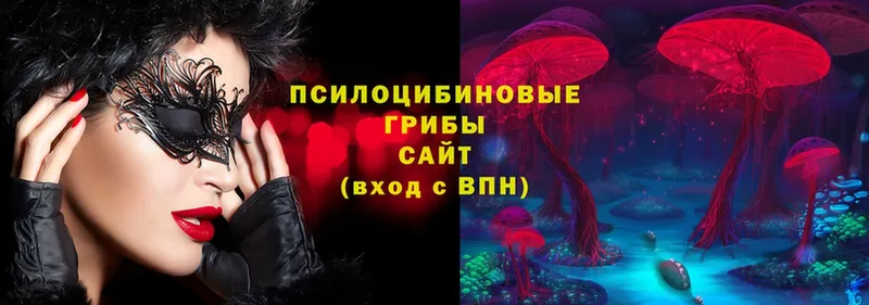 купить закладку  Энгельс  Псилоцибиновые грибы Psilocybe 