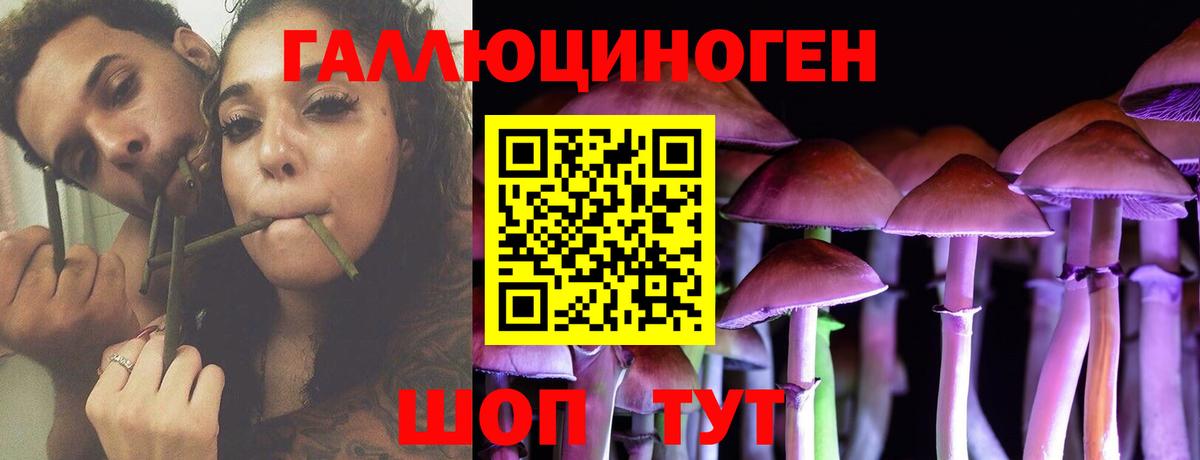 Псилоцибиновые грибы мухоморы  магазин продажи   Вход с VPN  Энгельс  Псилоцибиновые грибы Psilocybine cubensis 